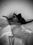 Katzenkinder (3)